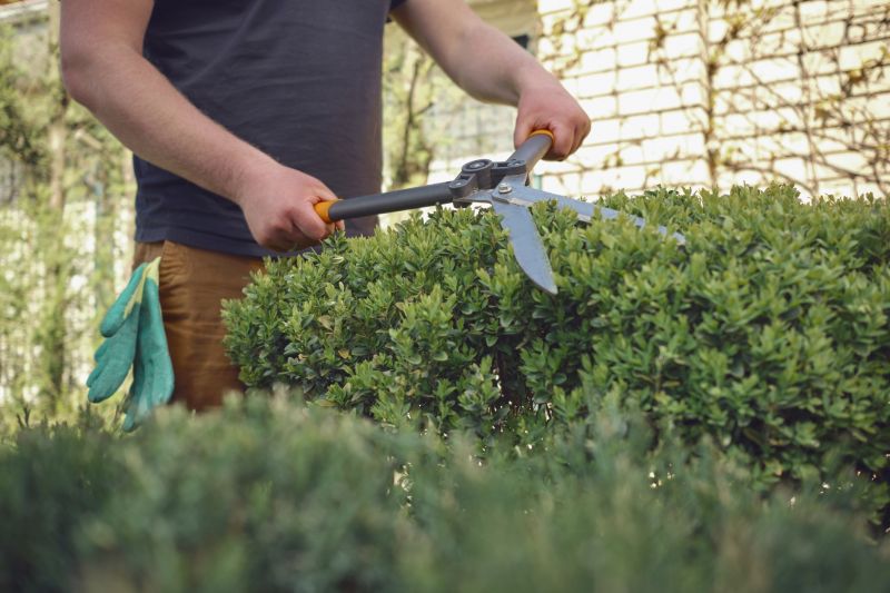 Top Rated Products for Shrub Pruning
