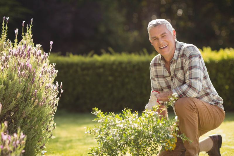 Shrub Trimming in Aiken, SC