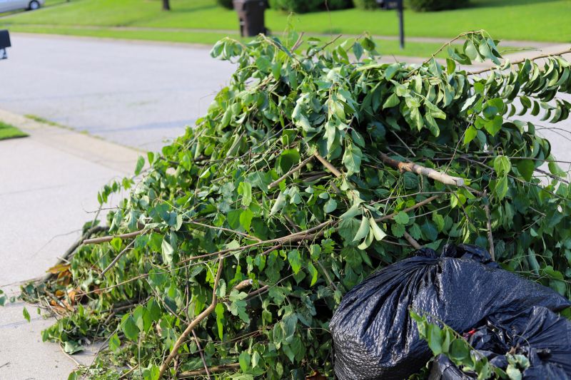 Blackberry Bush Removal in Aiken, SC