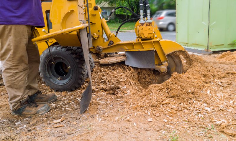 Commercial Stump Grinding in Allentown, PA