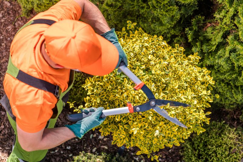 Shrub Pruning