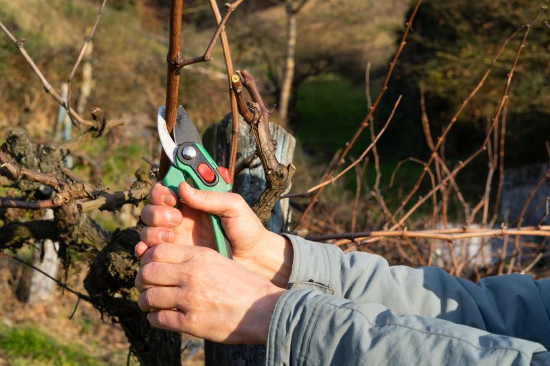 Professional Pruning Equipment