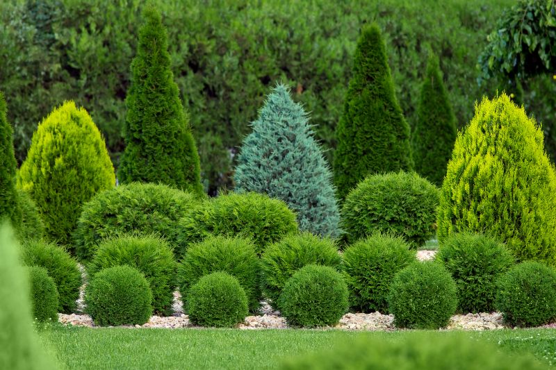 Mulched Shrub Beds in Winter