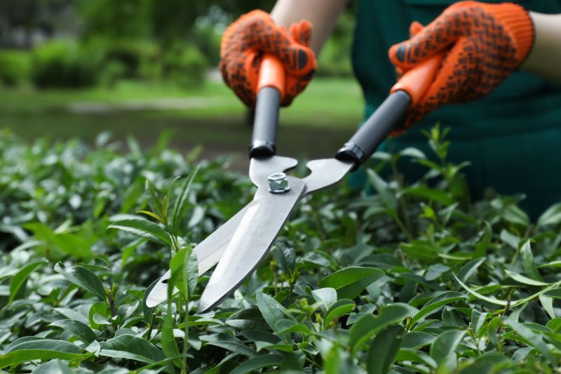 Shrub Maintenance Tools